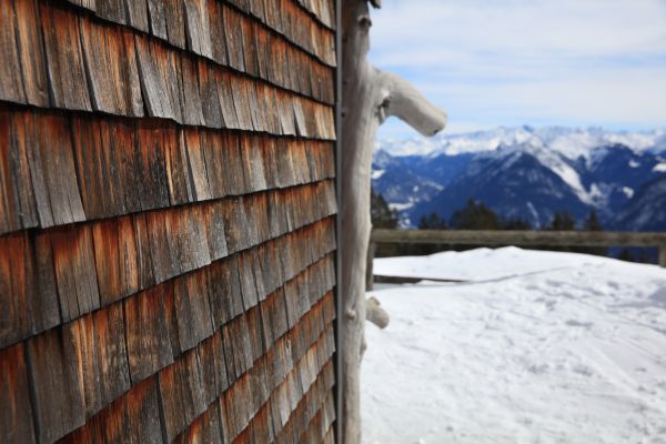 Cedar Siding Repair in San Ramon
