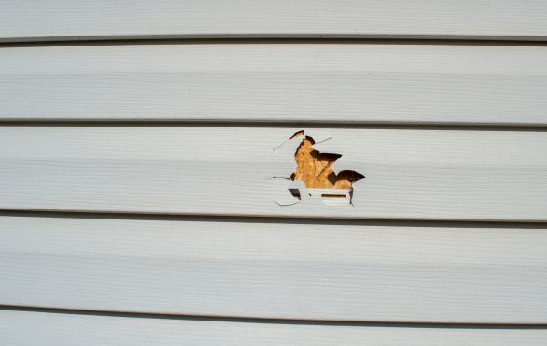 Siding Hole Patching in San Ramon