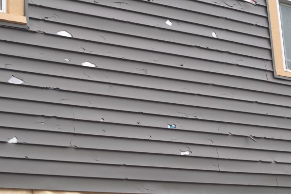 Damaged Siding Replacement in San Ramon